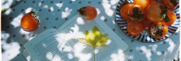 my other half book pdf