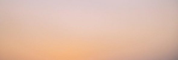 concise guide to critical thinking